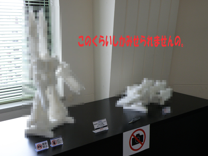 Yamato SDF-1 from DYRL
