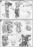 1/100 GN-008 Gundam Seravee English Manual & Color Guide