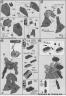 1/144 Bandai High Grade HGUC MSN-04 Sazabi English Construction Manual and Color Guide