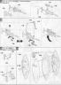 Bandai Master Grade 1/100 MG MS-14A Gelgoog Mass Production ver.2.0 English translation Construction Manual and Color Guide