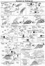 Bandai Master Grade MG LM312V04 + SD-VB03A V-Dash Gundam English Construction Manual and Color Guide