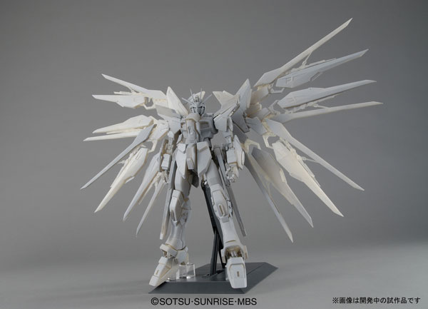 PG Strike Freedom from Gundam Seed Destiny up for pre-order