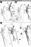 Perfect Grade PG 1/60 ZGMF-X20A Strike Freedom Gundam English Translation Color Guide and Manual