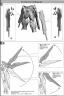 Perfect Grade PG 1/60 ZGMF-X20A Strike Freedom Gundam English Translation Color Guide and Manual