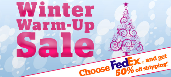 HobbyLink Japan Winter Sale 2010