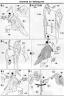 MG XXXG-01W Wing Gundam from Endless Waltz English Translated Color Guide & Manual