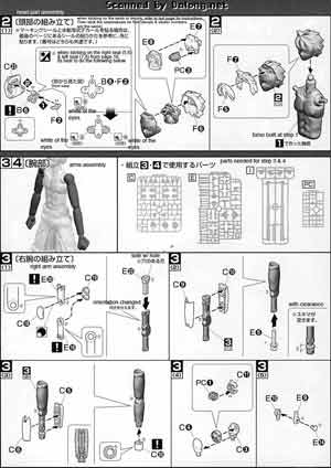 1/8 MG Figurerise Monkey D. Luffy English Translated Color Guide & Manual