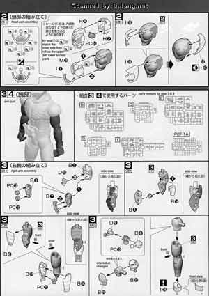 MG Figurerise Kamen Rider Skull English Translation Color Guide & Manual
