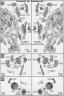 1/35 Dual Model Kit Bumblebee English Translation Color Guide & Manual