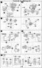 Frame Arms EXF-10/32 Greifen English Translation Color Guide & Manual