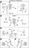 1/100 Frame Arms SA-16d Khanjar English Translation Color Guide & Manual