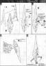 MG 00 Gundam Seven Sword /G English Translation Color Guide & Manual