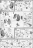 HG Seravee Gundam GNHW/B English Translation Color Guide & Manual