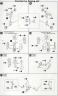 1/60 Break Blade Eltemus English Translation Color Guide & Manual