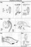 MG Gundam Sandrock EW English Translation Color Guide & Manual