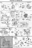 MG RX-0 Full Armor Unicorn Gundam English Translation Color Guide & Manual