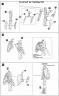 1/100 Frame Arms NSG-X1 Hresvelgr English Translation Color Guide & Manual