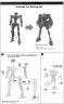 1/100 Frame Arms XFA-01 Werewolf Specter English Translation Color Guide & Manual