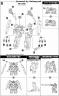 1/100 Frame Arms XFA-01 Werewolf Specter English Translation Color Guide & Manual