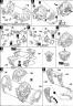 MG MSM-04 ACGuy English Translation Color Guide & Manual