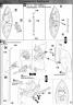 MS-14S Gelgoog of Char Aznable ver.2.0 Color Guide & Manual