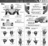1/8 MG Figurerise Wild Tiger Construction Manual & Color Guide