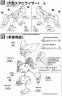 SD Master Gundam Construction Manual