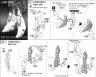 RG Zeta Gundam Construction Manual & Color Guide