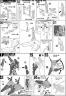 HGUC Messala Construction Manual & Color Guide