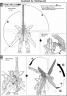MG GX-9900 Gundam X Construction Manual & Color Guide