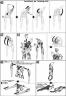 HG Star Build Strike Gundam Plavsky Wing Construction Manual & Color Guide