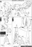 HG Neo Zeong Construction Manual & Color Guide