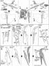 RG Strike Freedom Gundam Construction Manual & Color Guide
