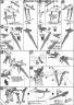 HG Gundam Exia Amazing Construction Manual & Color Guide