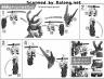 SD Sengoku Astray Gundam Construction Manual & Color