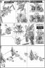 SD Neo Zeong Construction Manual & Color Guide