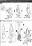 MG Unicorn Gundam 03 Phenex Construction Manual & Color Guide