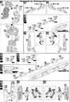 HG Powered GM Cardigan Construction Manual & Color Guide