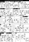 HG R-Gyagya Construction Manual & Color Guide