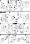 HG R-Gyagya Construction Manual & Color Guide
