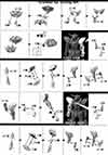 HG Gundam G-Self Construction Manual & Color Guide