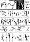 HG Gundam G-Self Construction Manual & Color Guide
