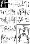 HG Gundam G-Self Construction Manual & Color Guide