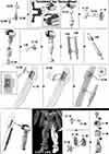 HG Montero Construction Manual