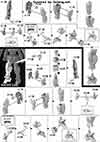 HG Montero Construction Manual