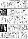 1/144 High Grade Space Jahannam Color Guide & Manual