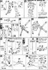 HG XM-X1 Crossbone Gundam X1 Construction Manual & Color Guide