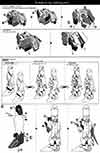 PG Unicorn Gundam Construction Manual & Color Guide