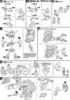 SD Winning Gundam Construction Manual & Color Guide