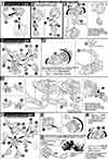 SD Winning Gundam Construction Manual & Color Guide